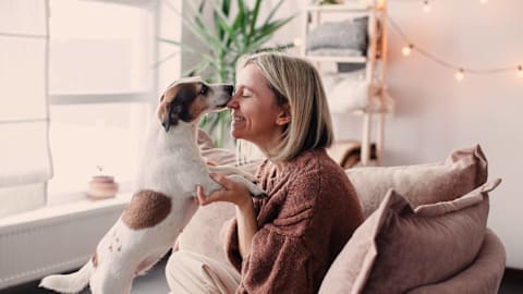 7 things that make your dog feel more loved than treats
