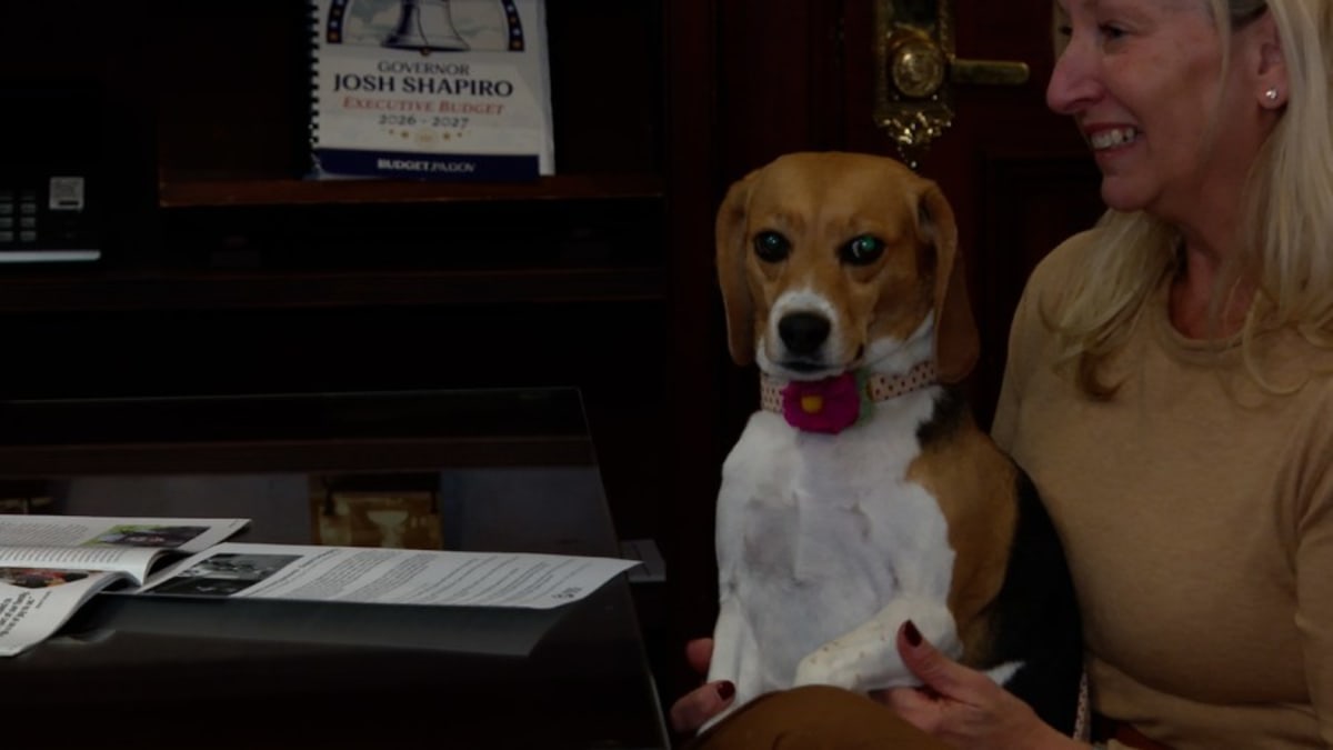 Beagle Bill heads to governor’s desk after unanimous vote