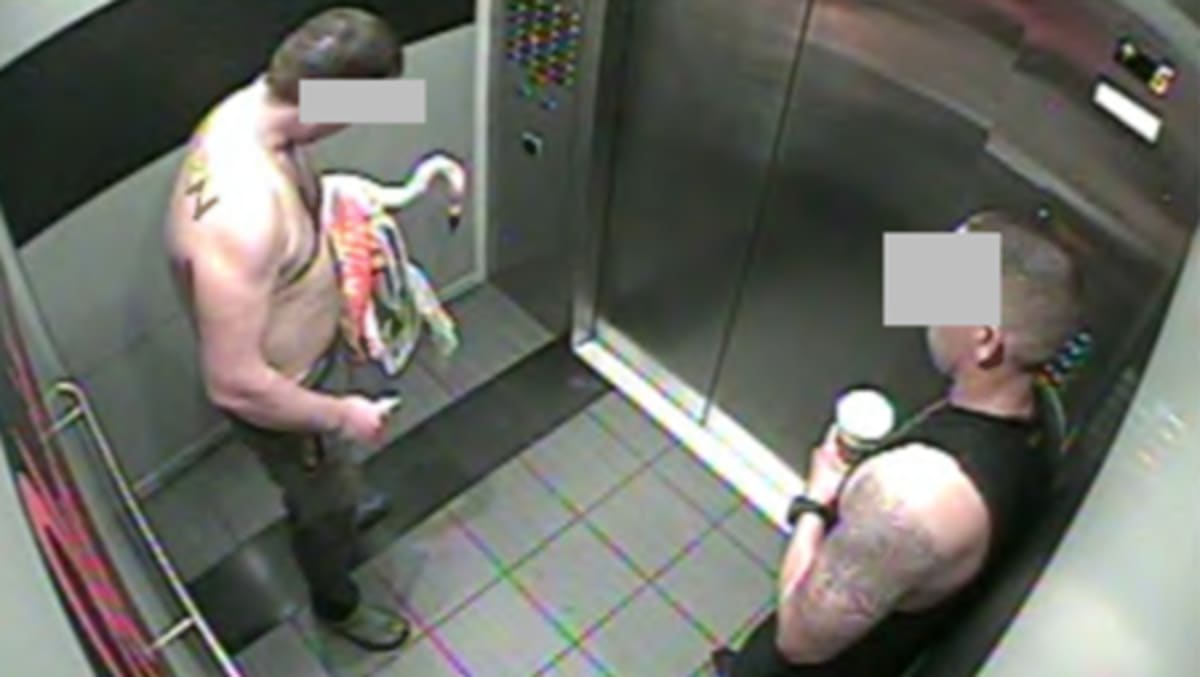 Tourist found guilty after stealing Las Vegas flamingo from enclosure