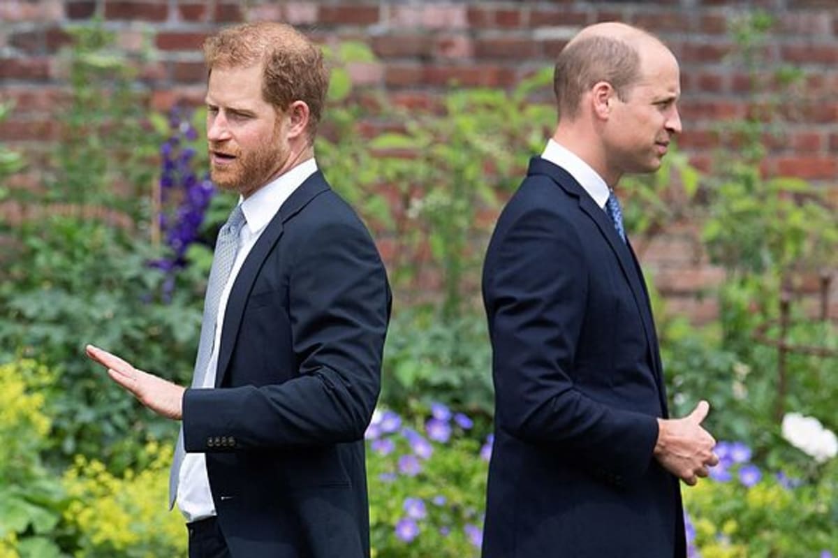 New Photo - Prince Harry and William's feud rages on - and it's about to get a whole lot worse