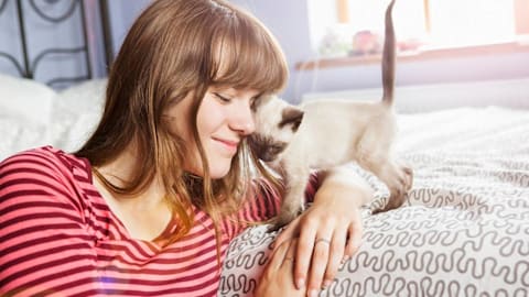 5 traits that prove your cat is one of the most loyal companions you have