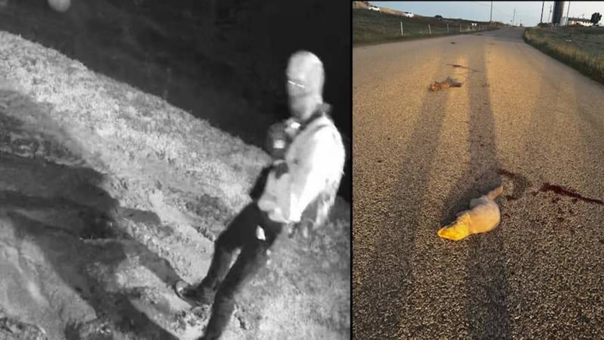 Inturders Investigation underway after intruders break into east Idaho farm and ...