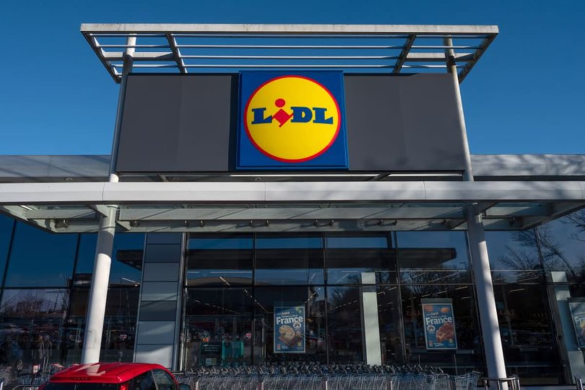 New Lidl £7 dress that looks like Next's £156 version coming out on ...
