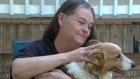 Family reunited with 15-year-old dog after tornado destroyed their home in Illinois