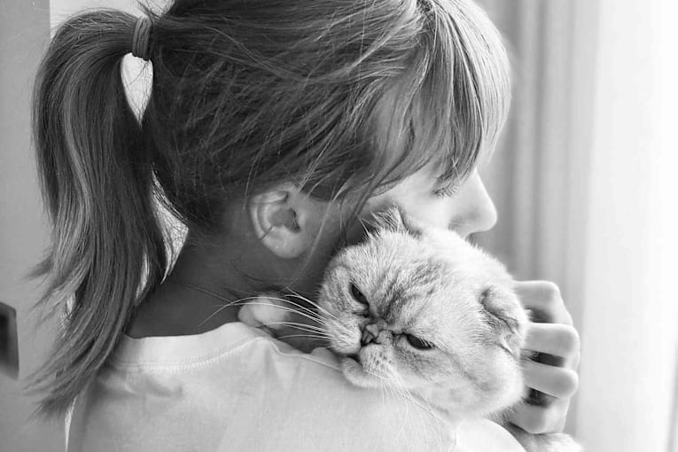 All about Taylor Swift's cats, Meredith Grey, Olivia Benson and Benjamin Button