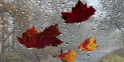 NOAA releases fall weather predictions for all 50 states as El Niño grows stronger