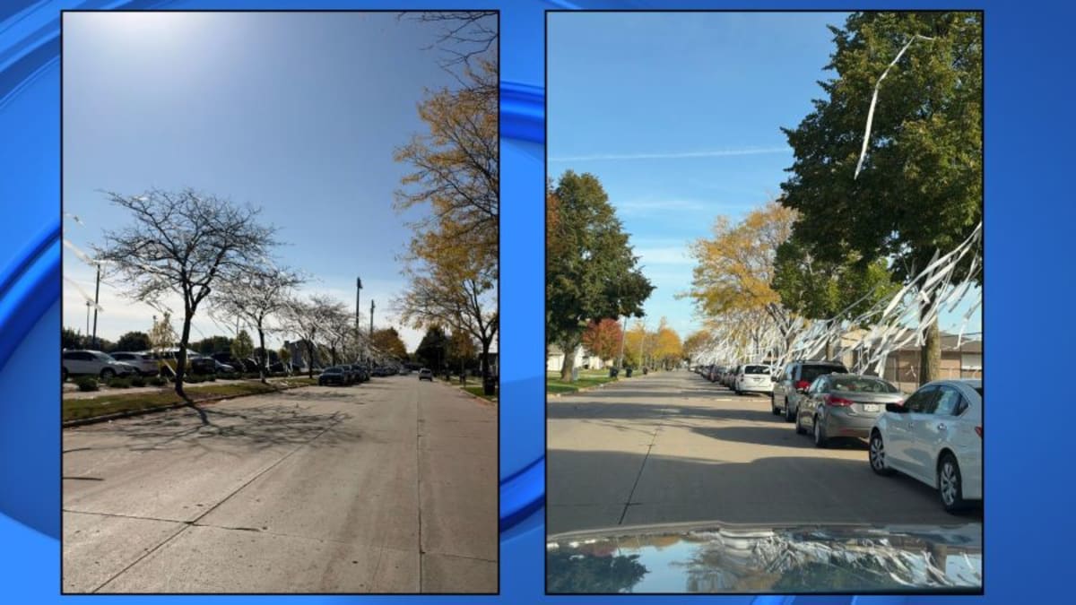 Appleton Weather Appleton covered in toilet paper after senior prank - AOL