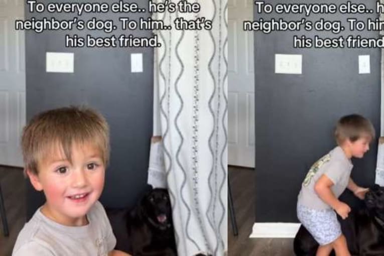 Toddler's bond with neighbor's dog is so much more than what the world sees