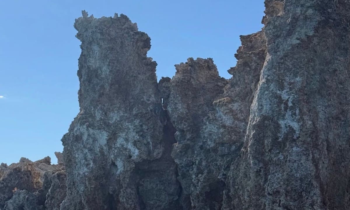 Can you spot the great horned owl roosting in tufa tower at Mono Lake?