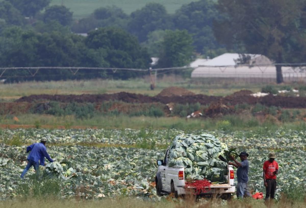 South Africa economy estimated to be 4.9% bigger after rebasing - AOL
