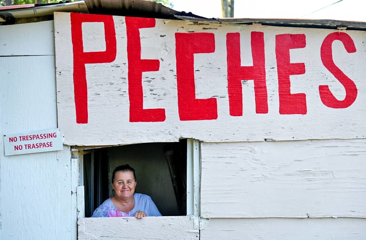 All just 'pechy' at Georgia fruit stand where a misspelled word