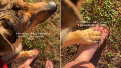 Dog has a unique way of holding his human’s hands even after being non-cuddly

