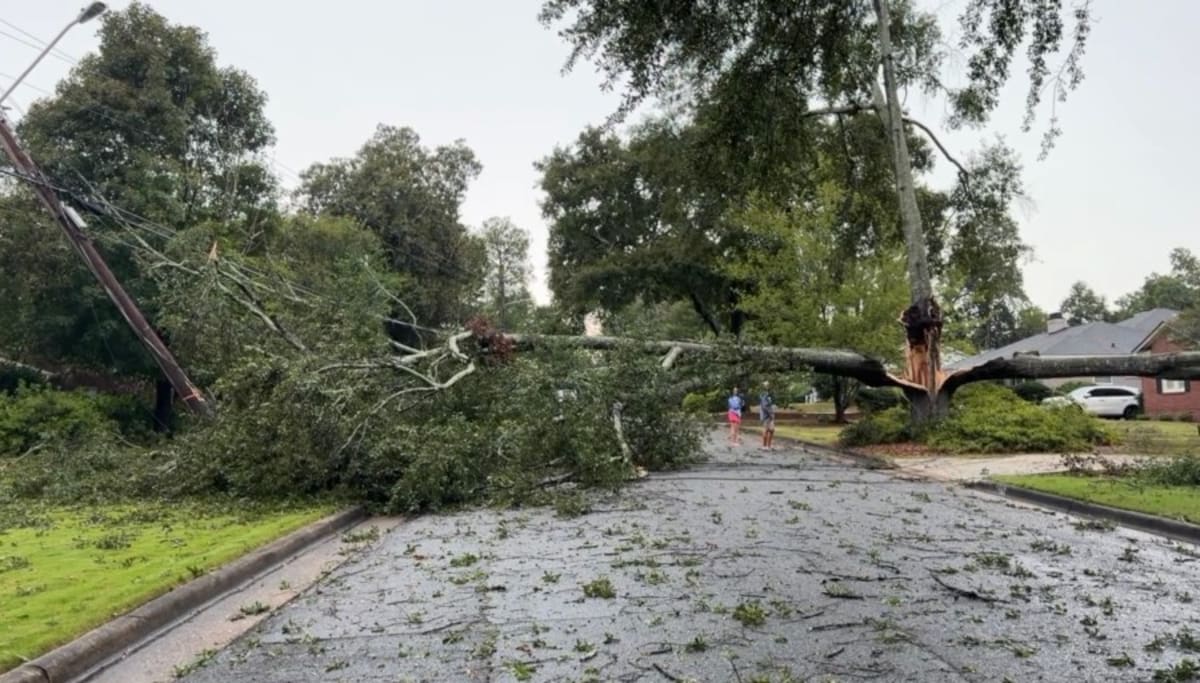 Science Club Tree Thousands of Columbus residents face power outages, downed trees after ...