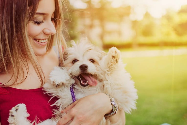 8 Subtle Signs Your Dog is Happy and Healthy, According to Experts