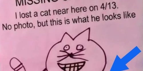 22 signs with messages so funny they immediately went viral