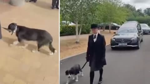 Faithful dog leads best friend’s funeral procession